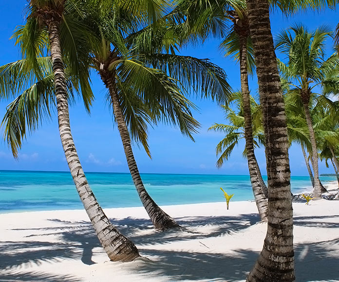 playa con palmeras y arena blanca en Punta Cana