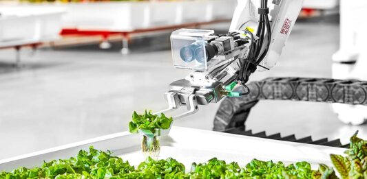 Robots granjeros: el sabroso futuro de la agricultura industrial