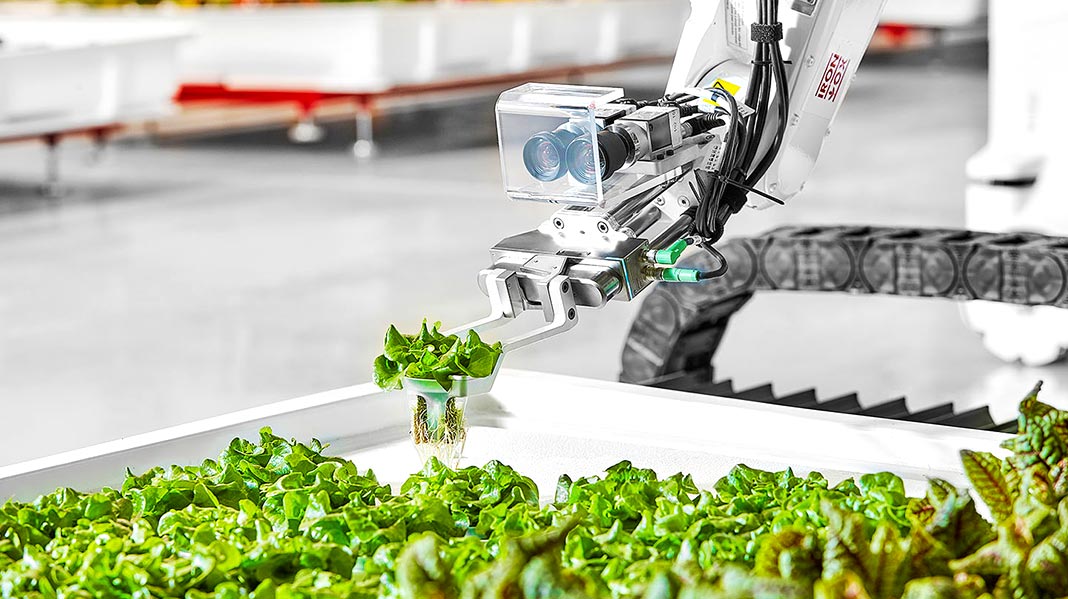 Robots granjeros: el sabroso futuro de la agricultura industrial