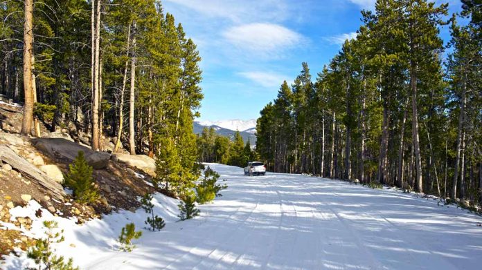 ¿Cuál es el mejor seguro de coches para conducir sin problemas en invierno?