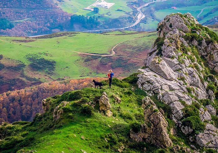 Hacer el Camino de Santiago con nuestro fiel compañero