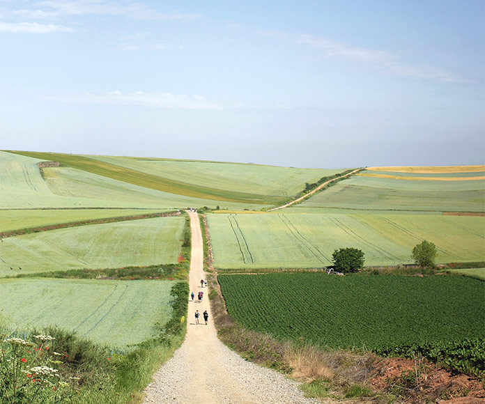 Grupo de senderistas caminando por un paisaje verde