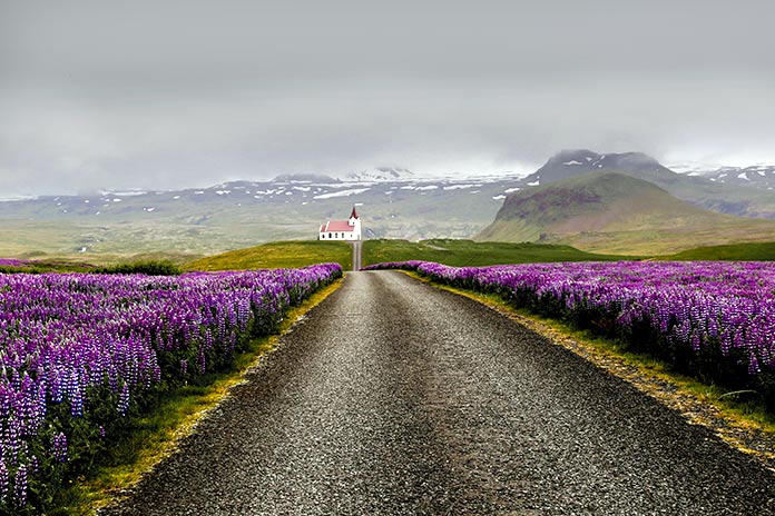 En Islandia no hay mosquitos