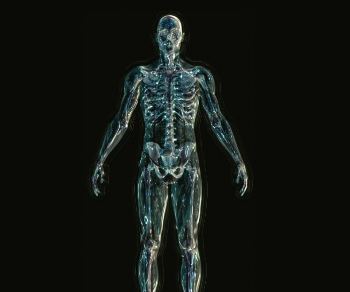 Esqueleto humano
