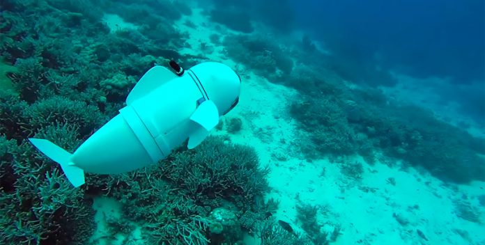 SoFi, el robot marino fabricado con impresoras 3D.