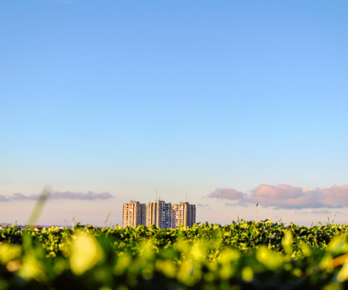 Edificios de fondo y cerca de un lugar verde.