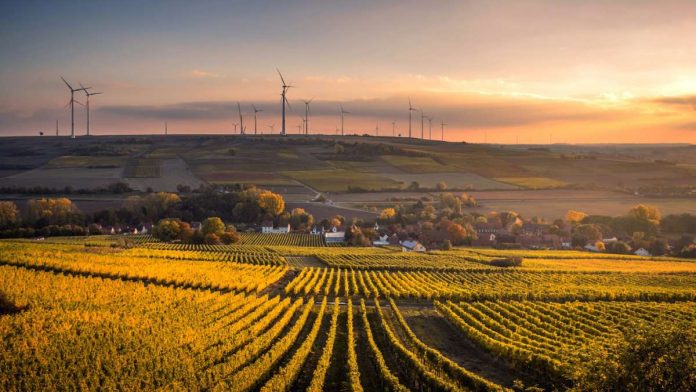 Sostenibilidad, huerto, energía sostenible