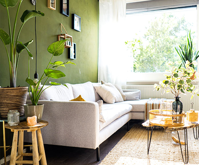 Salón con pared verde, sofá blanco y plantas