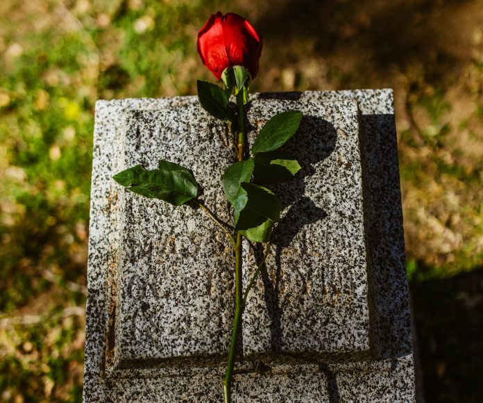 Rosa sobre lápida.