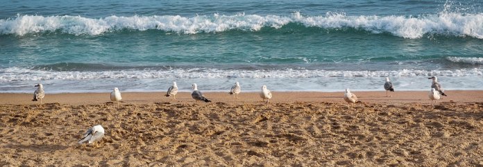 Tipos de Ecosistemas: Costas