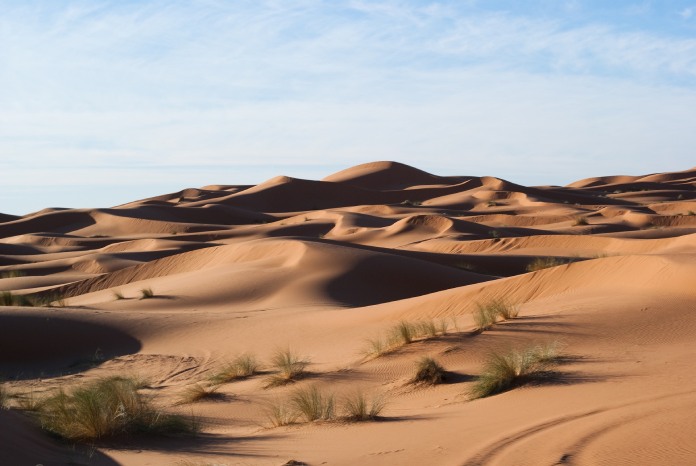 Tipos de ecosistemas: Dunas de arena