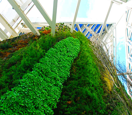 Vista del Jardín vertical El Farro Verde de la Torre de Cristal