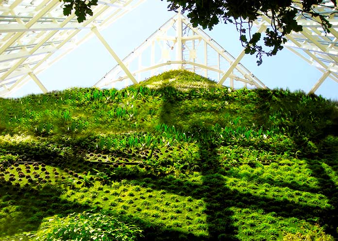 Jardín vertical El Faro verde de la Torre de Cristal