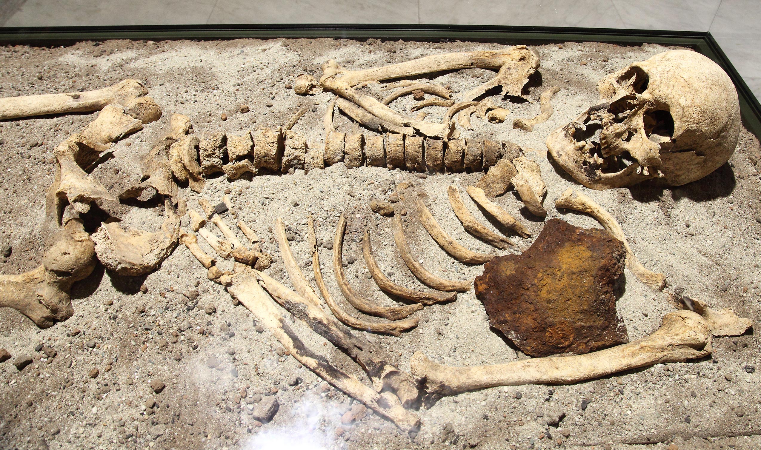 Detalle cenital del esqueleto procedente de la tumba de vampiros de Sozopol