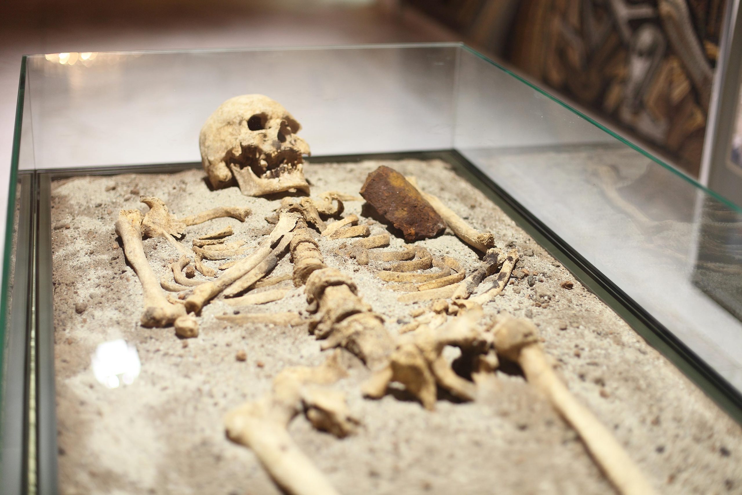 Esqueleto procedente de la tumba de vampiros de Sozopol.