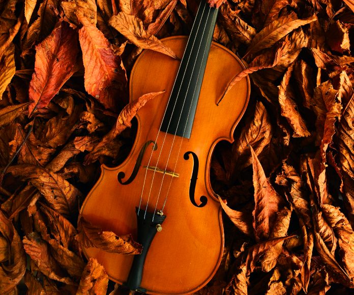 Violín sobre hojas de otoño.