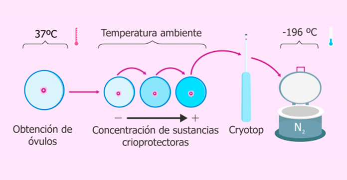 Vitrificación de ovocitos