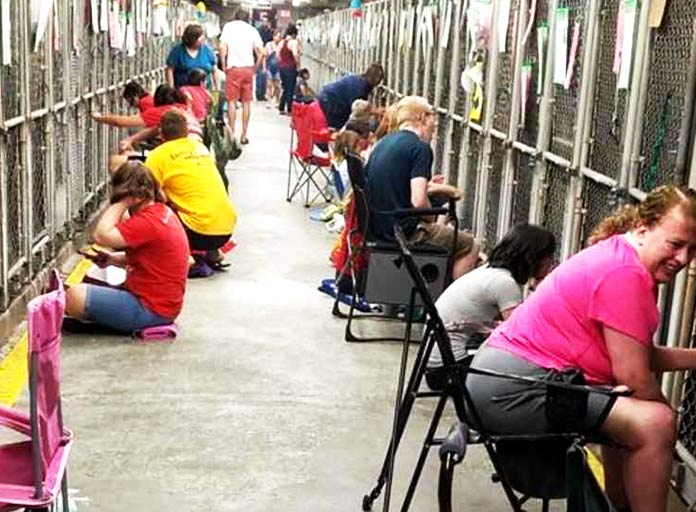 Voluntarios en el refugio de Phoenix, Arizona