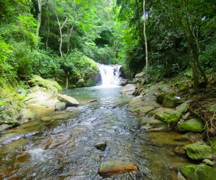 Vista de un río fluyendo a través de un paso natural de agua.